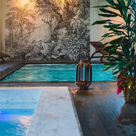 Hotel Formula Int. & Puravita Rosolina